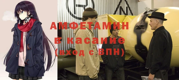 прущие грибы Аркадак