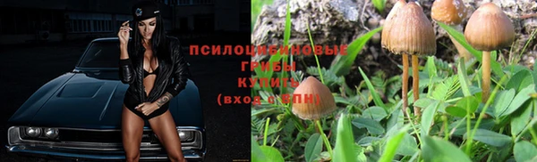 МДПВ Арсеньев