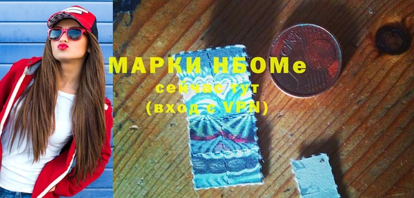 прущие грибы Аркадак
