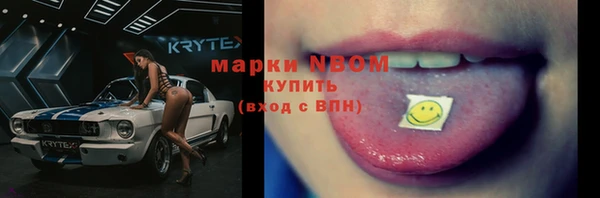 прущие грибы Аркадак