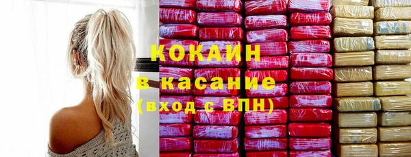 прущие грибы Аркадак