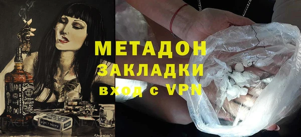 прущие грибы Аркадак
