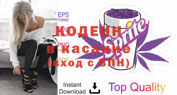 прущие грибы Аркадак