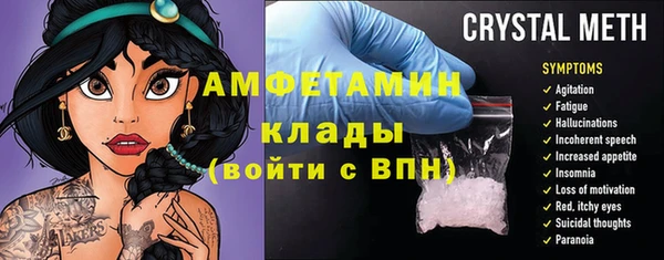 прущие грибы Аркадак